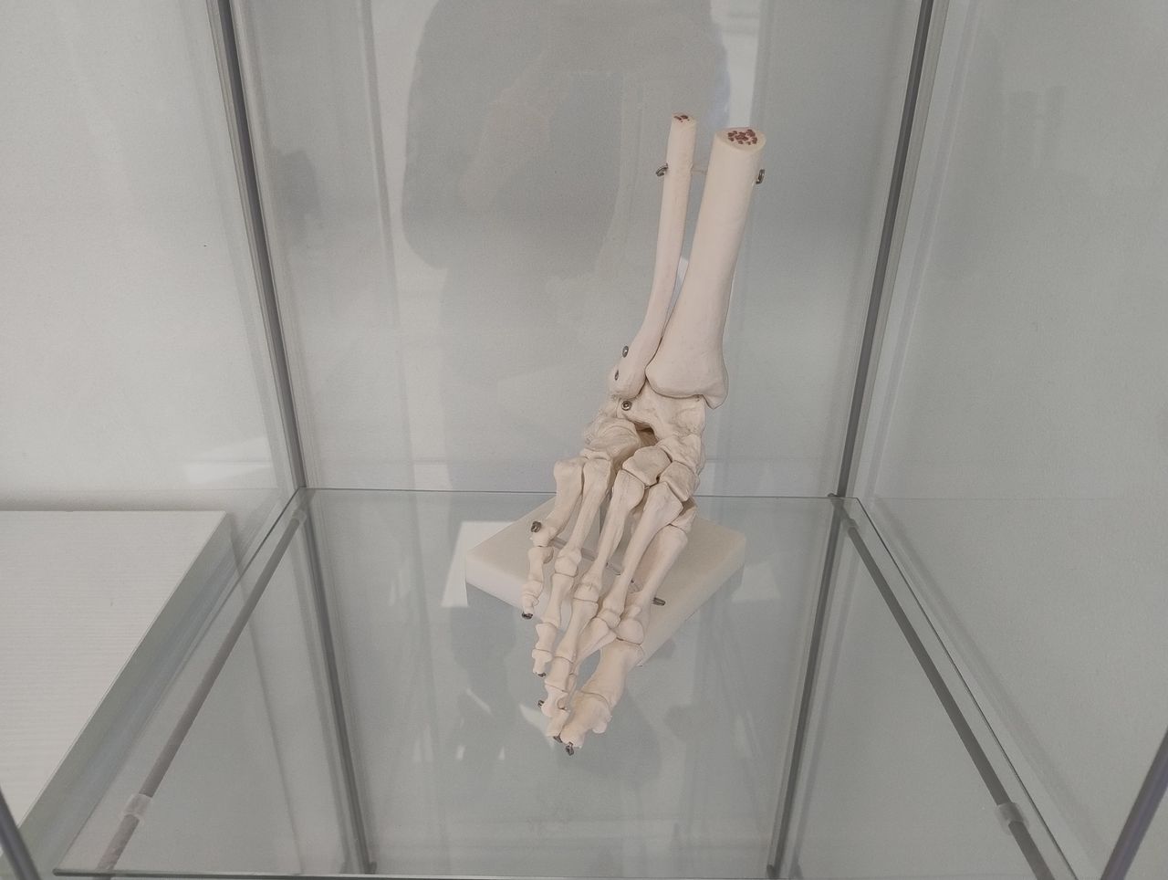 Gianmarco Del Brocco-5