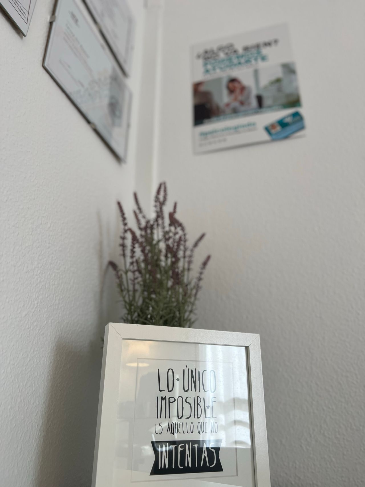 Romina Paola Giarrusso-20