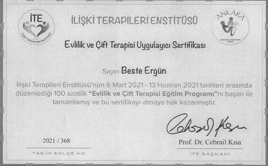 Beste Ergün Özel-18