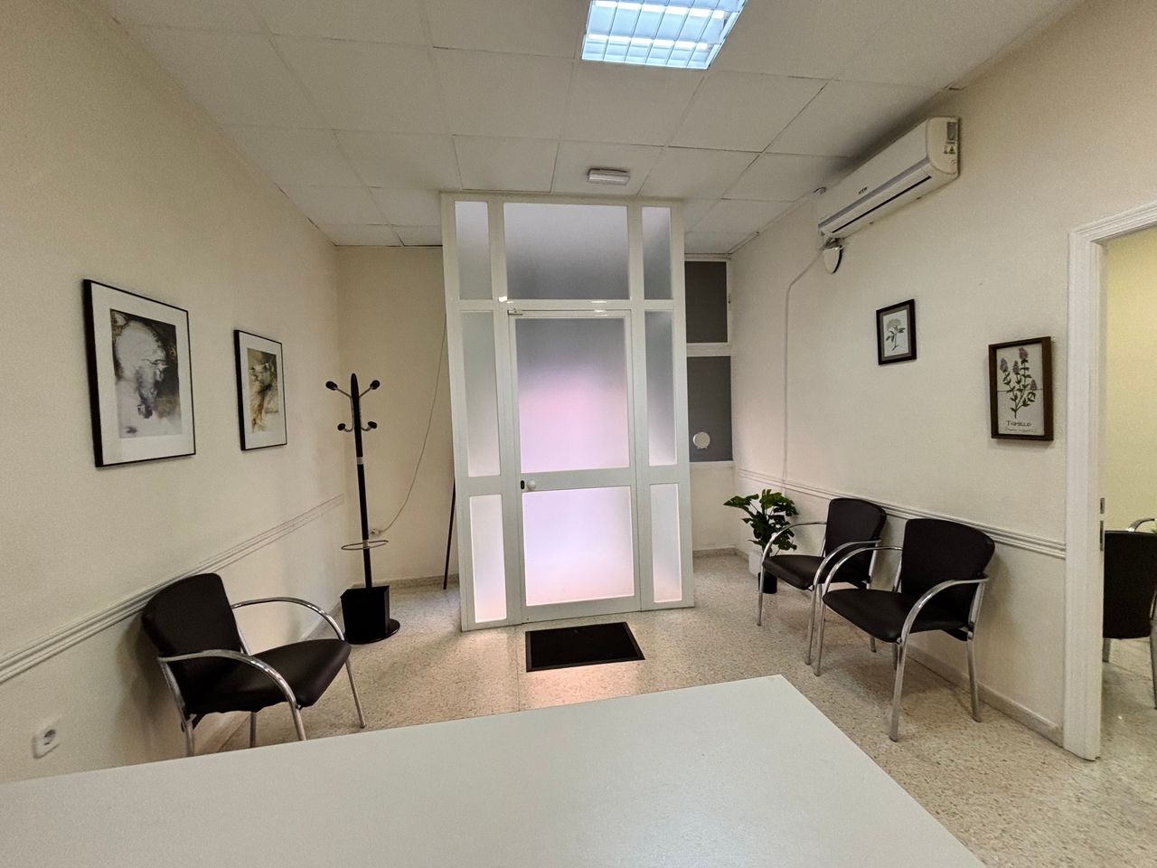 Ana Aragoneses Bermejo-1