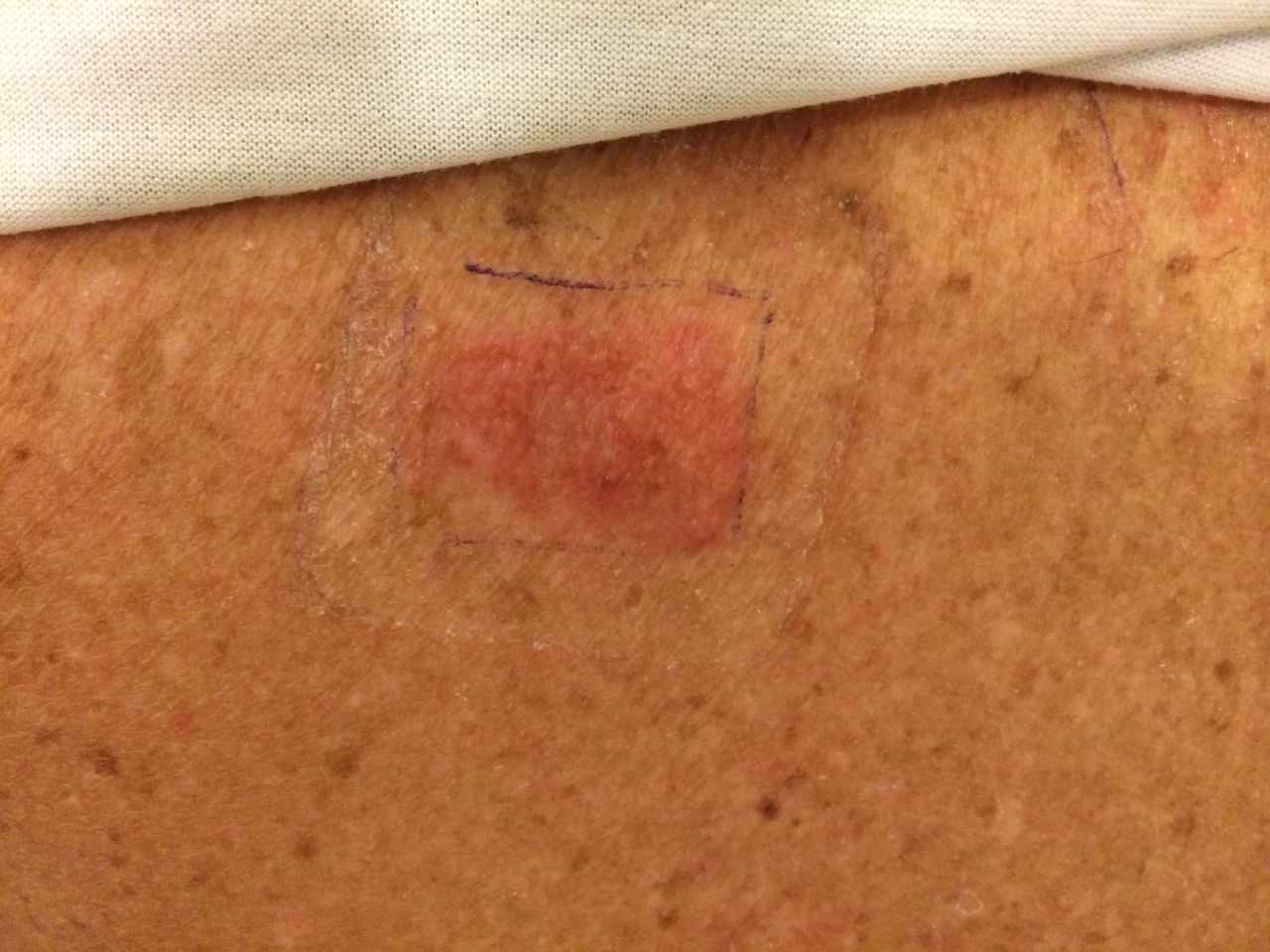 Maria Stefania Leto Barone-6