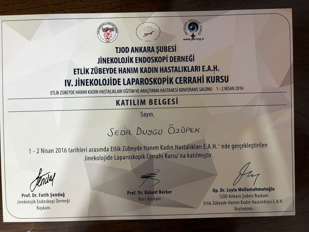 Seda Duygu Demirçelik-1