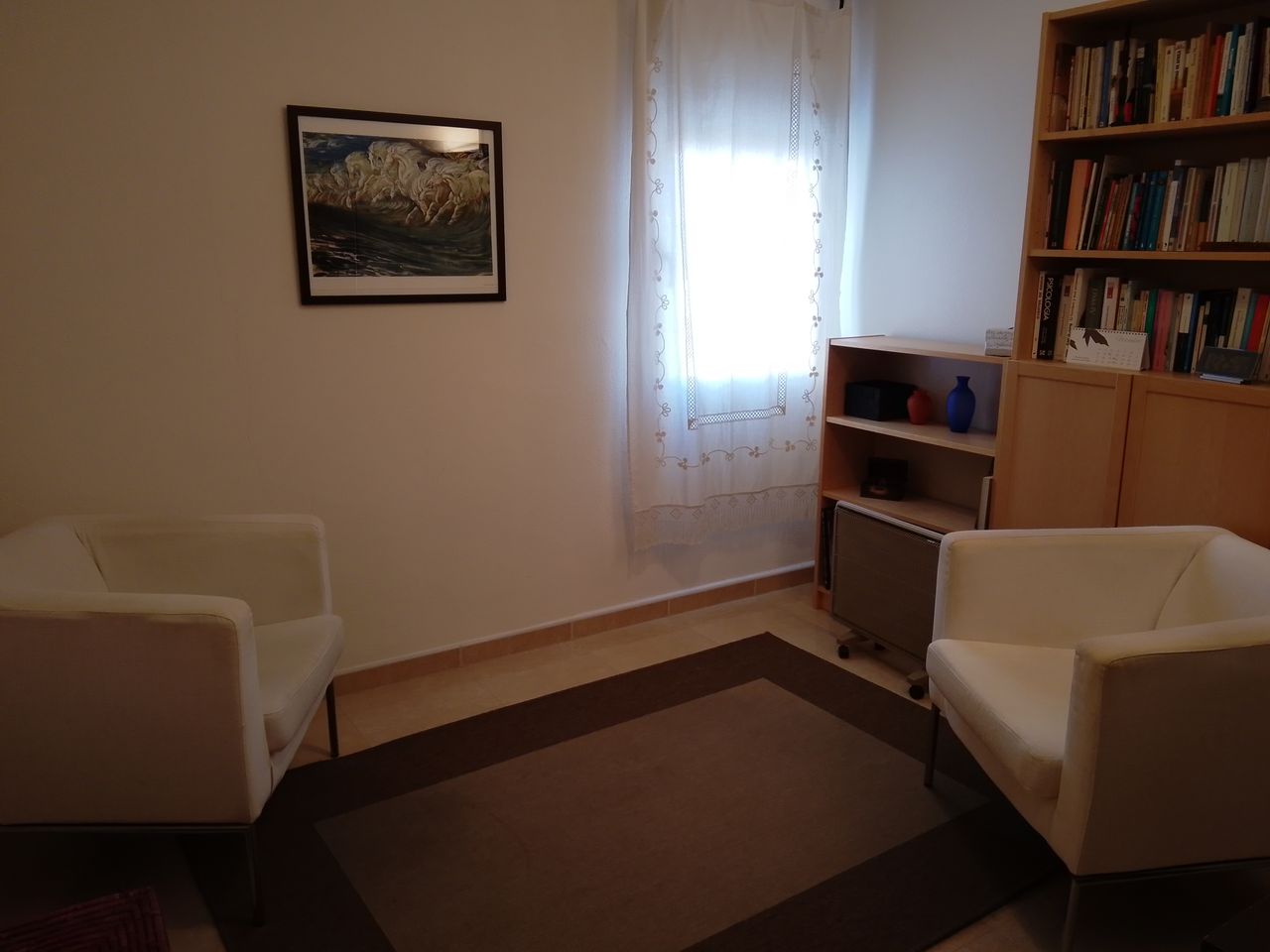 Mª José Braulio Usieto-1