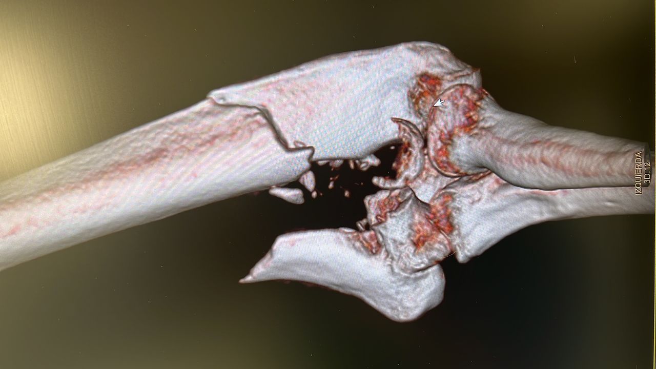 Manel Panadero Moncusi-8