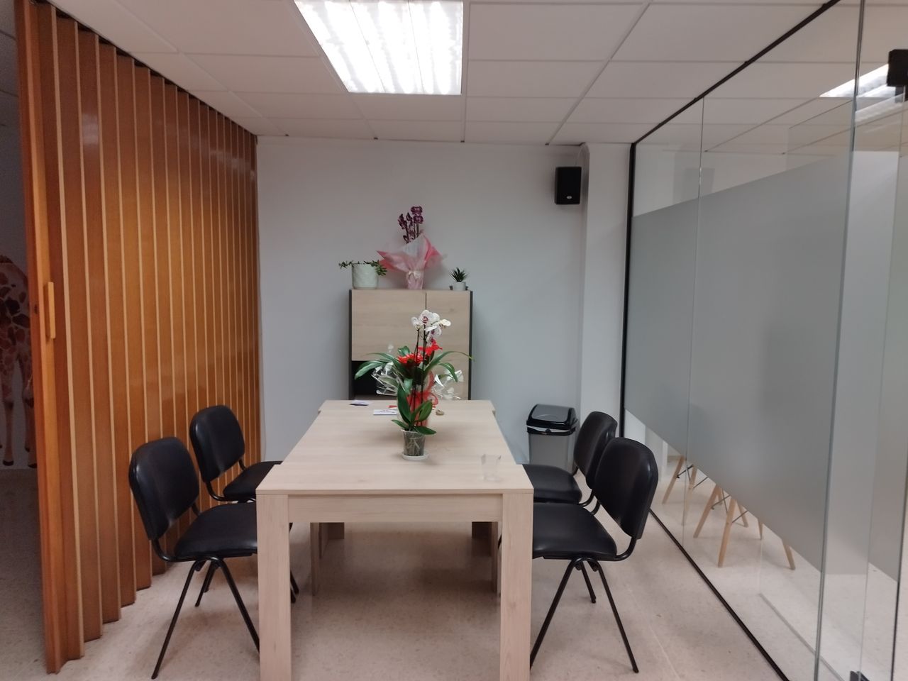 Carmen Martínez Belda-6