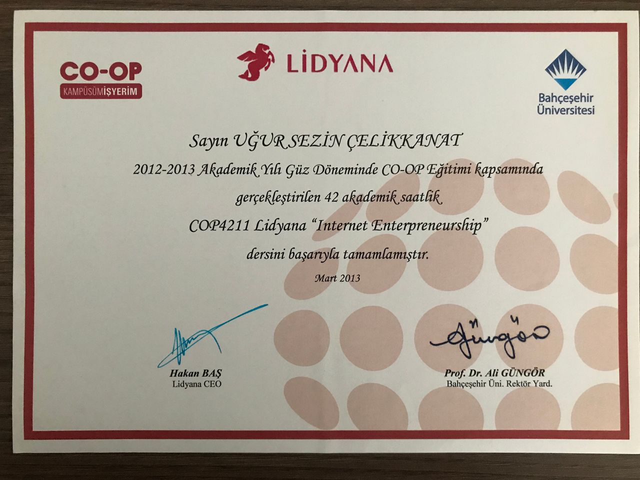 U. Sezin Çelikkanat Mısırlı-19