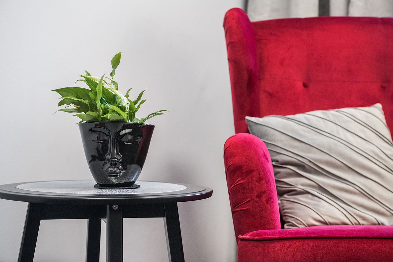 Irmina Kasperczyk-Hajdus-1