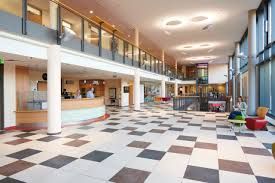 Denisa Babeanu-Bauer-0