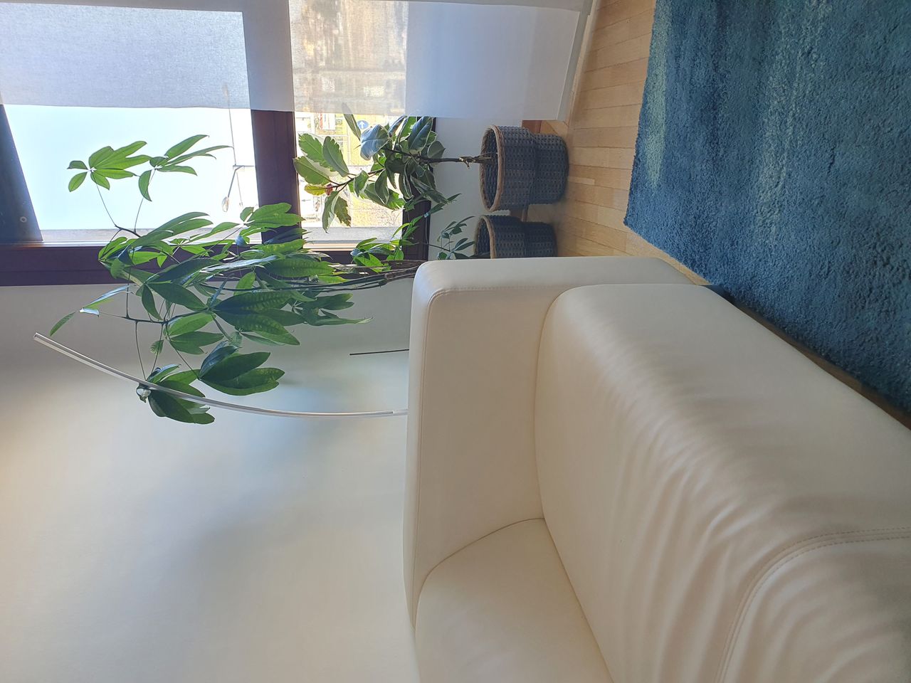 Piera Anna Murrali-3