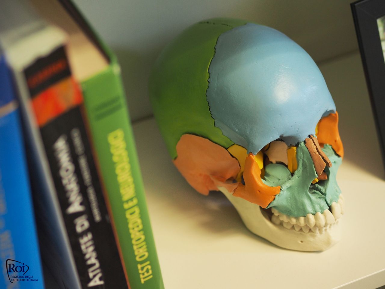 Silvia Bernasconi-22