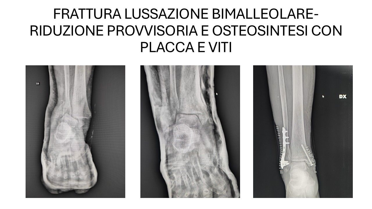 Bartolomeo D'amora-10