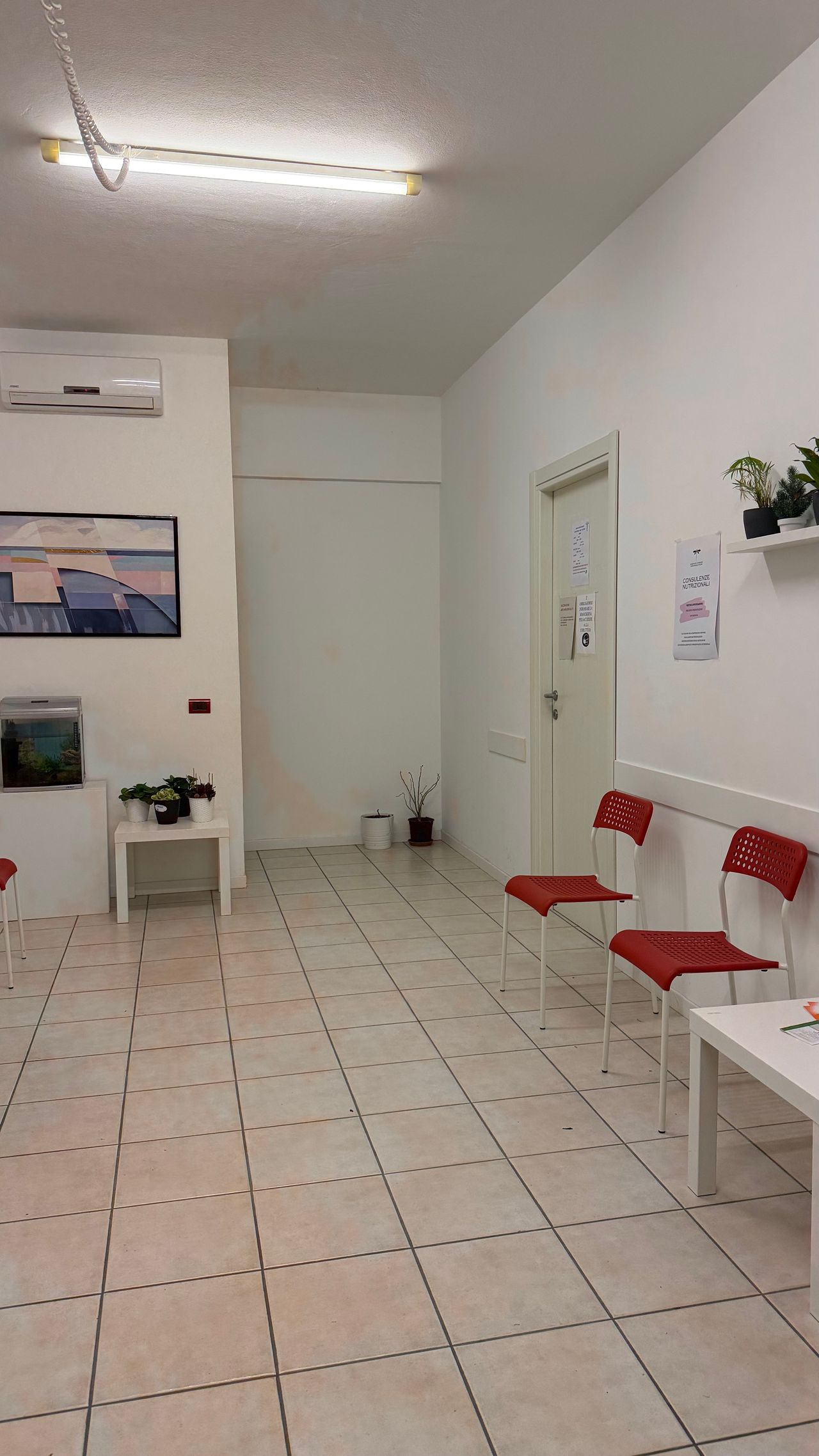 Chiara Maria Palazzi-0