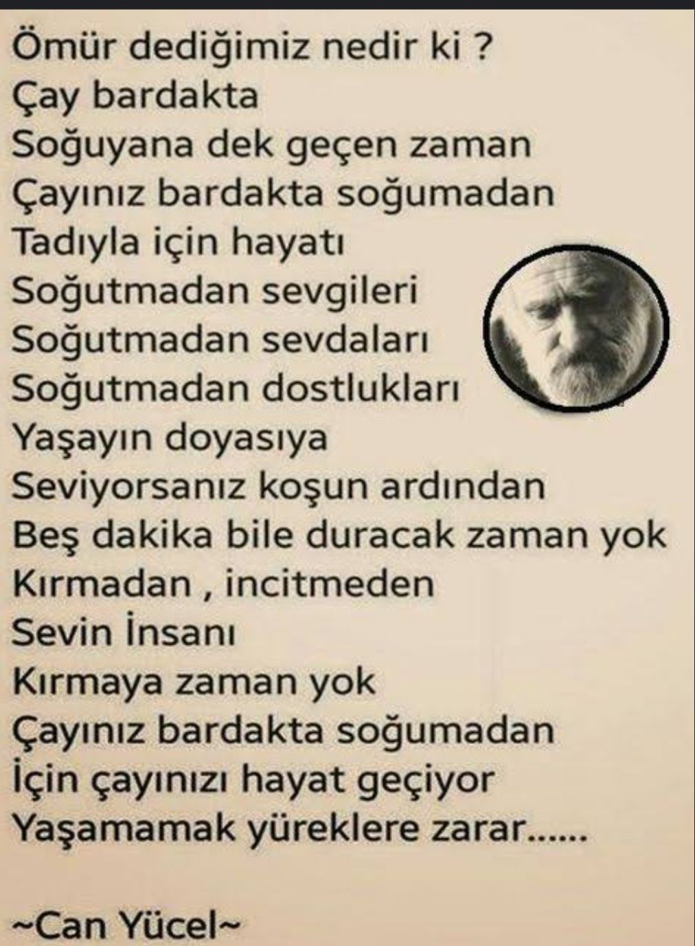 Ayşen Betül Okat-25