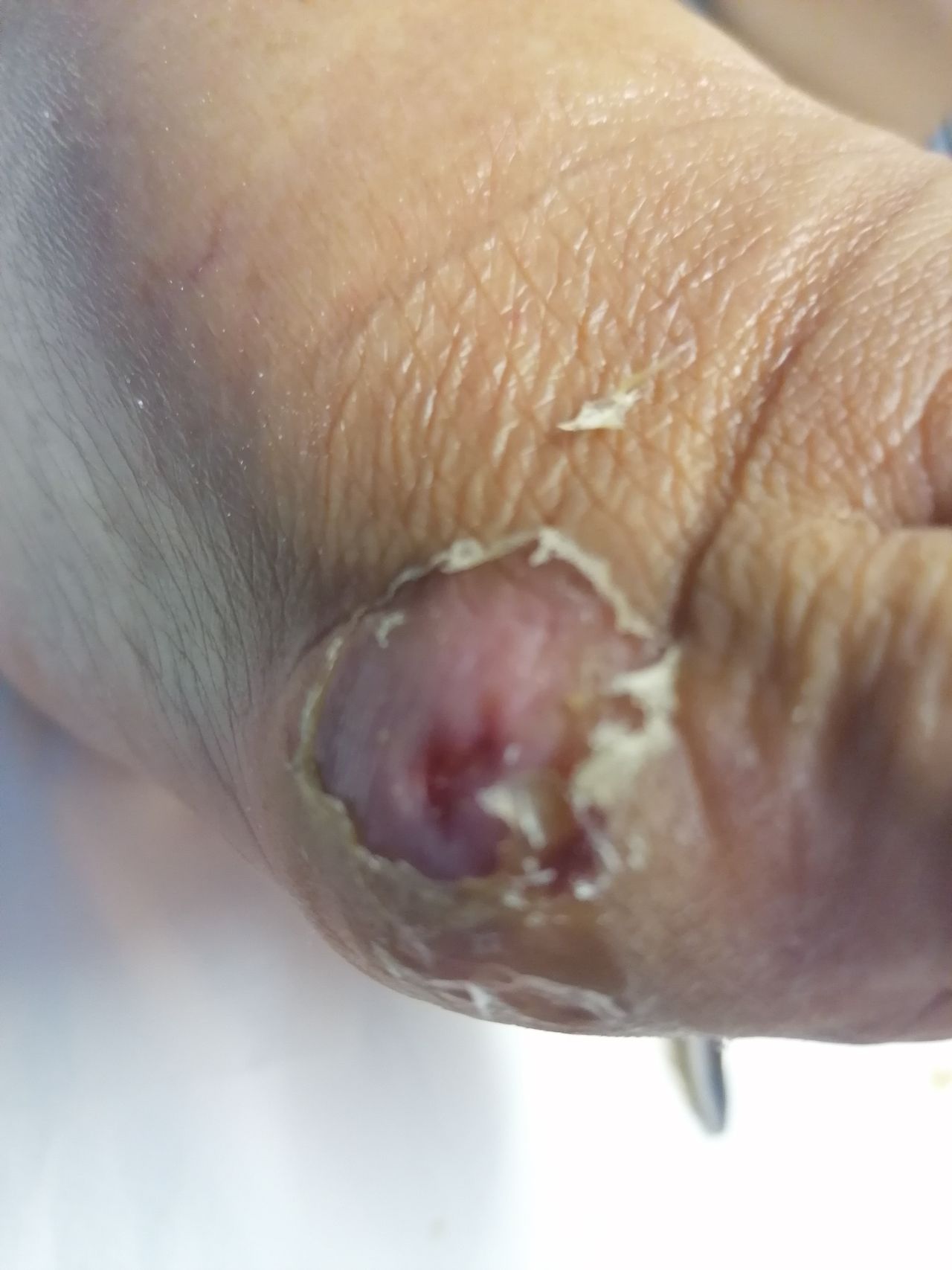 Kassandra Nicolosi-52