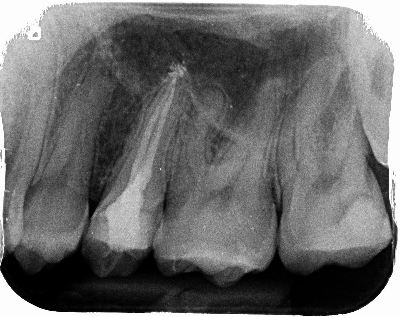 Dominika Witkowska-Pszczoła-14