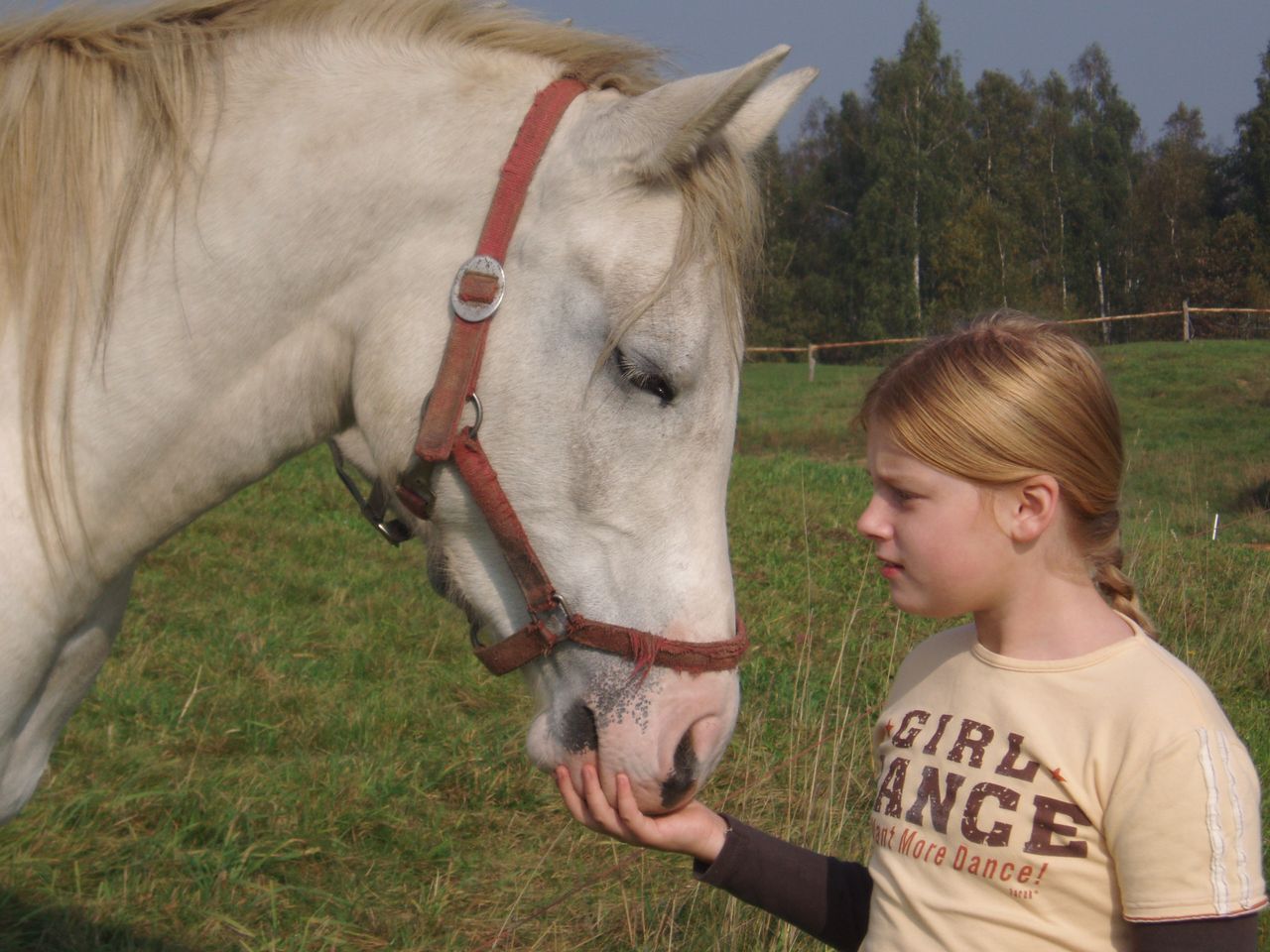 Berenika Orłowska-5