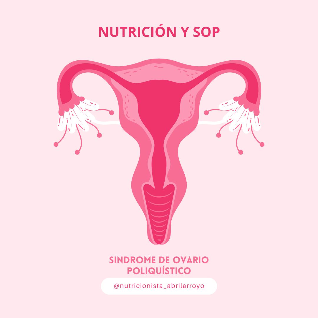 Abril Arroyo Méndez-1