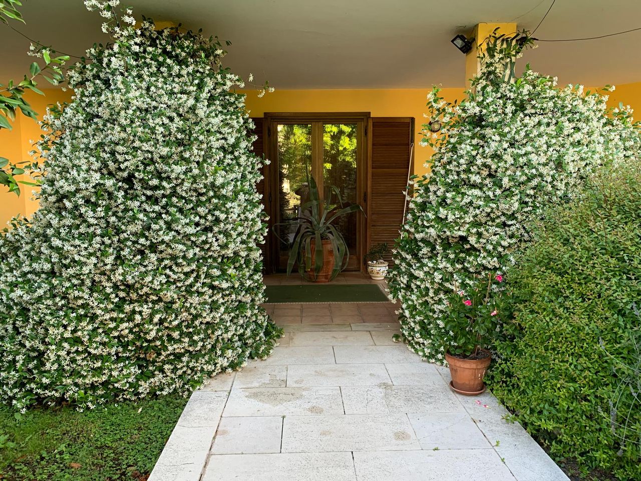 Maria Concetta Russo-3