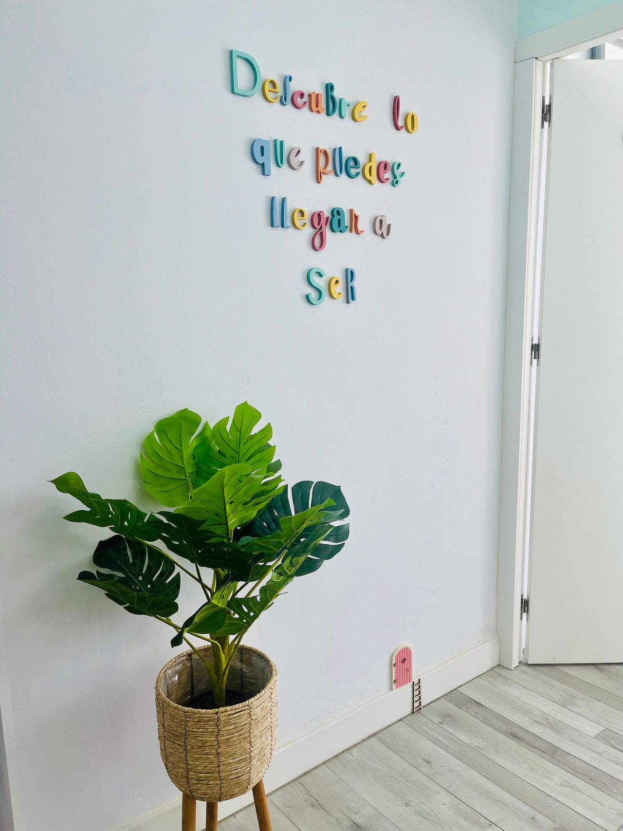 Francisco Blanco Rojas-5