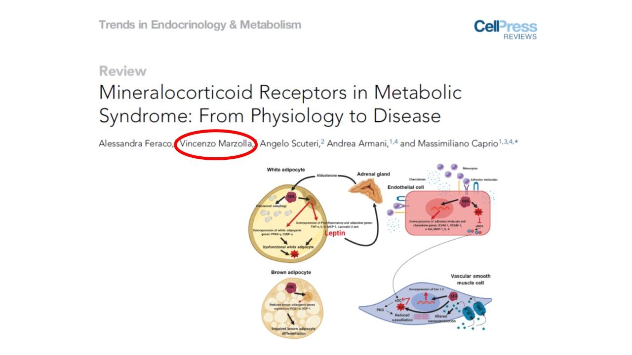 Vincenzo Marzolla-19