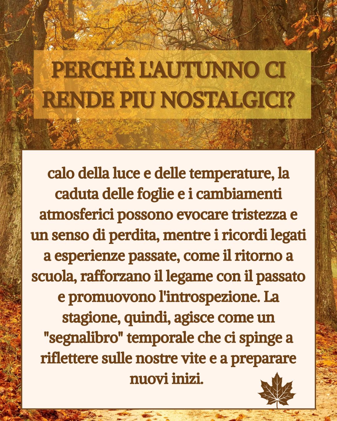 Eugenia Alessio-40