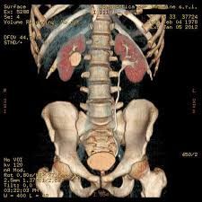 Massimiliano Sperandio-4
