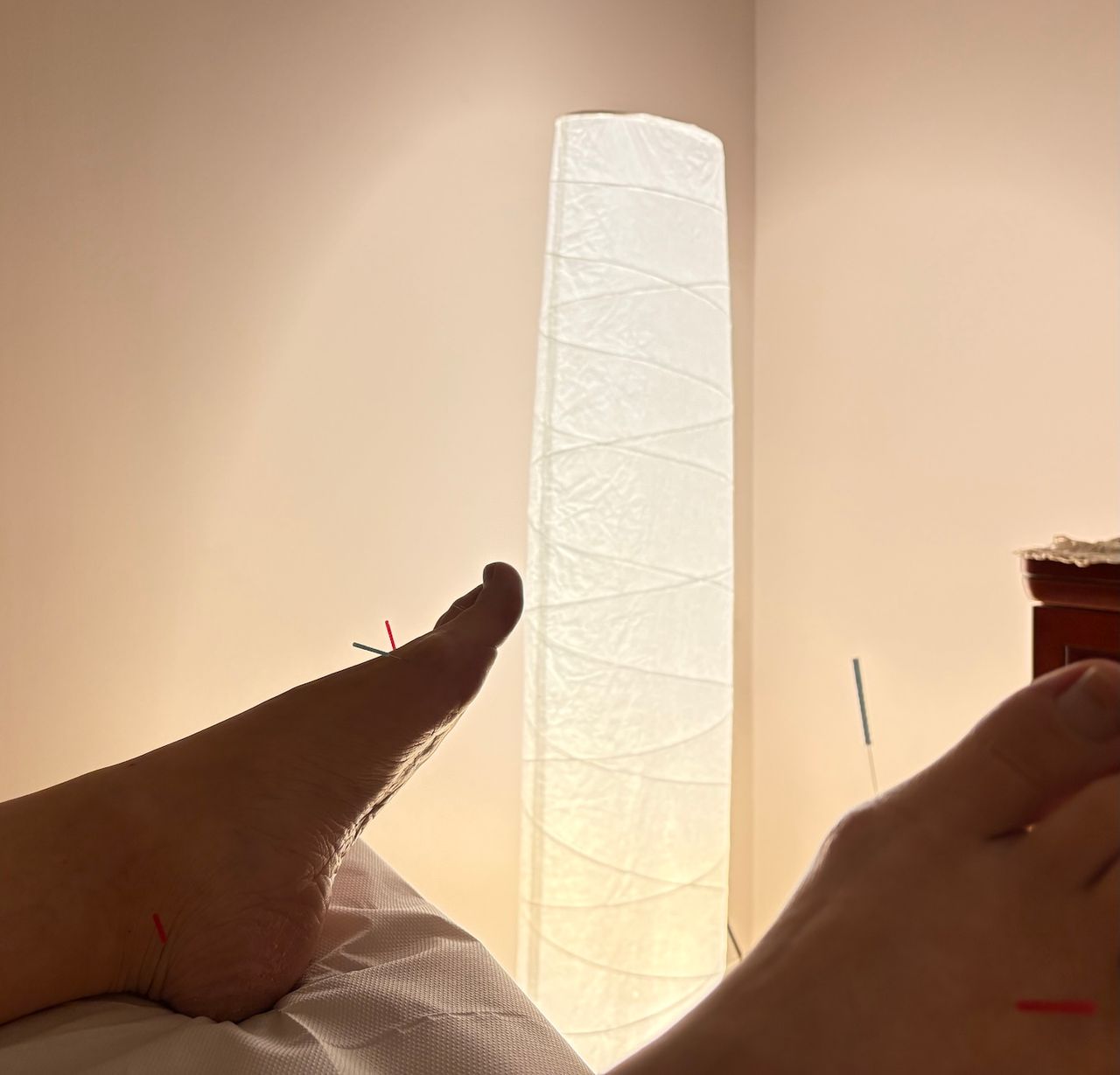 Silvia Cosetta Guardini-3