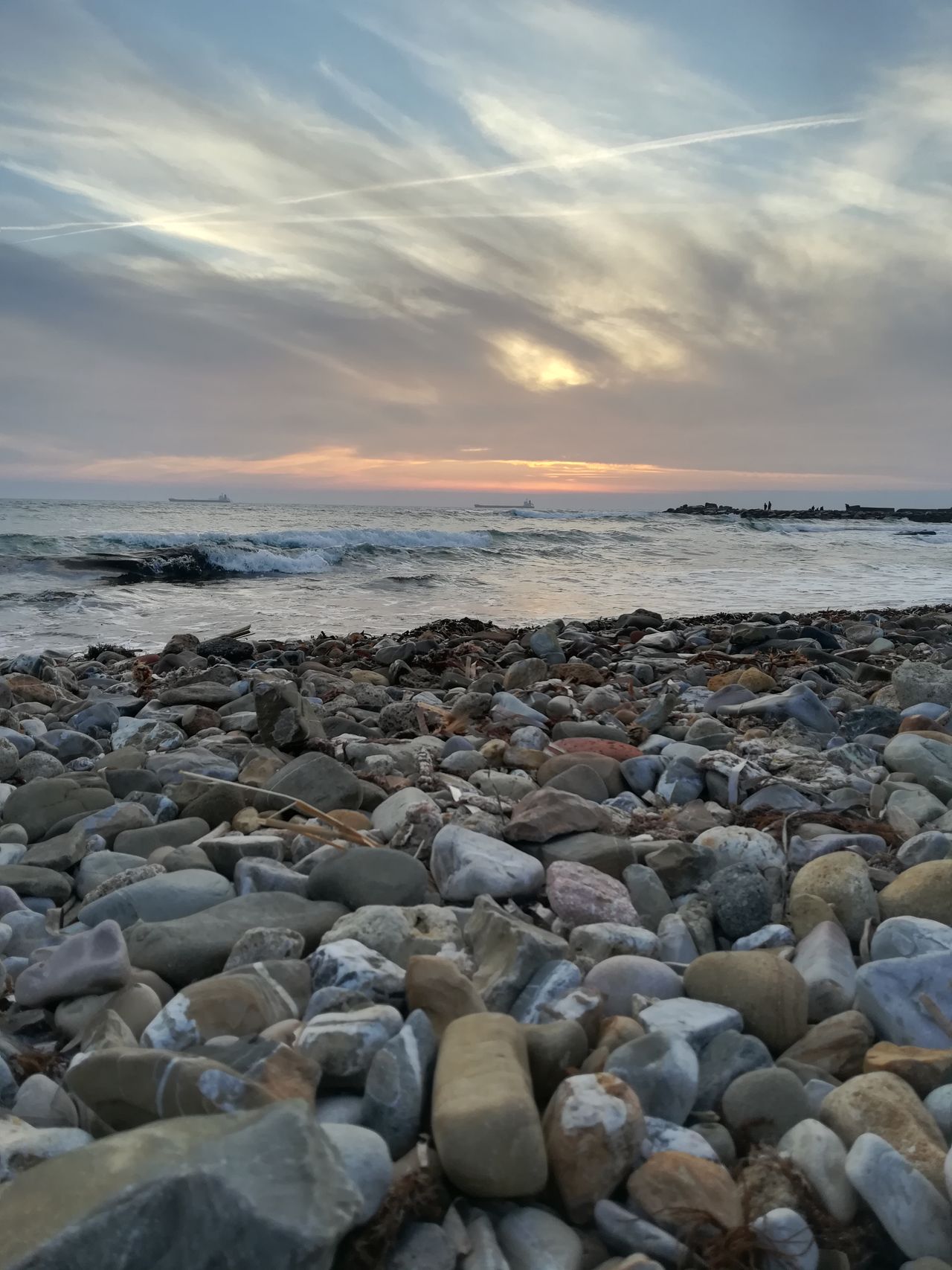 Caterina Cresciullo-7