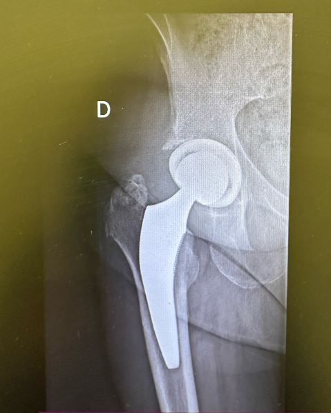 Valerio Cipolloni-22