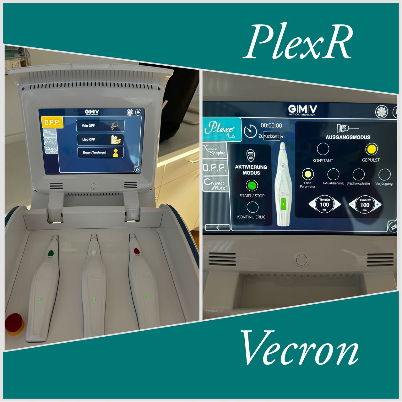 Angelika Leila Ernst-Plörer-7