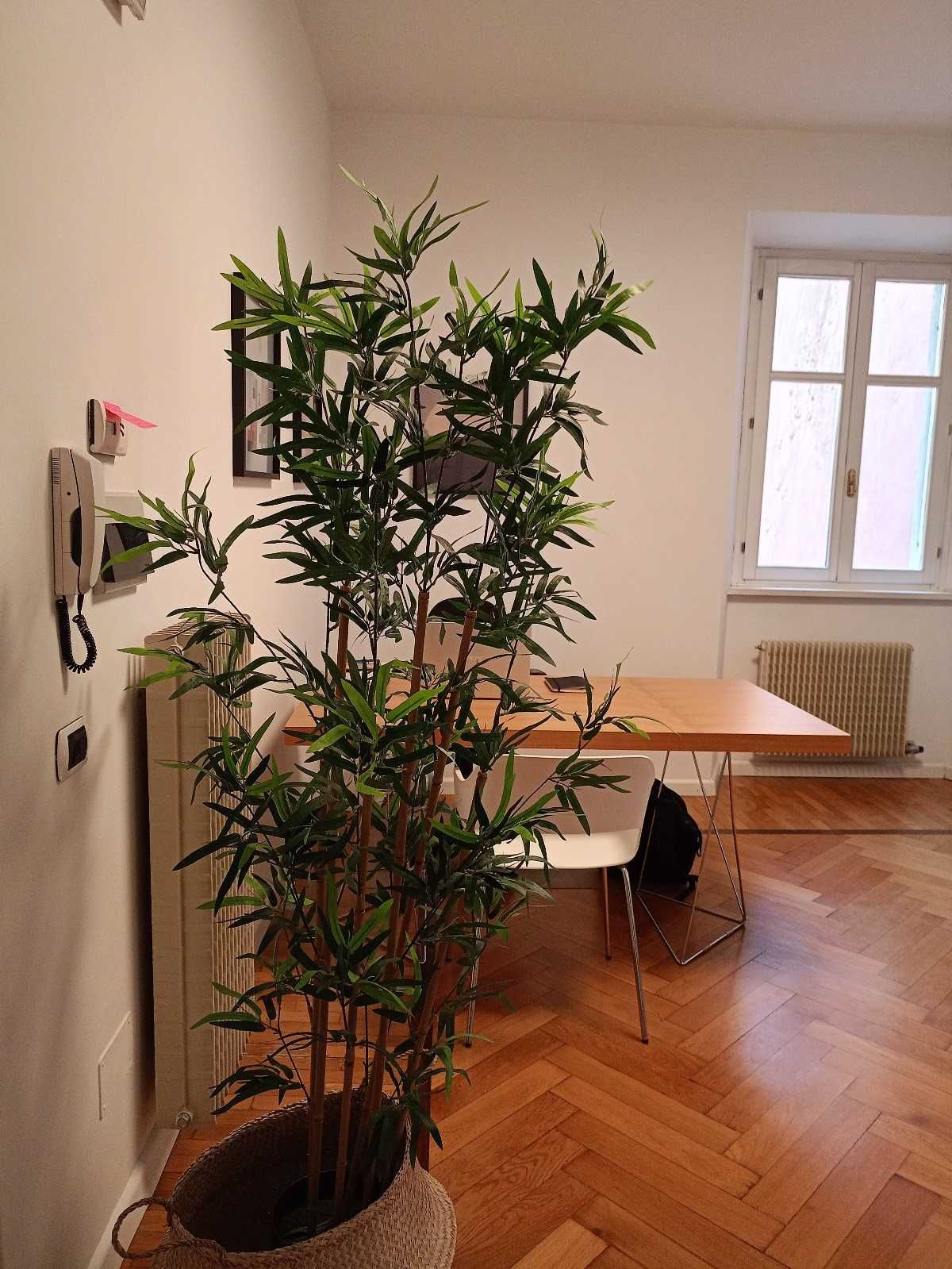 Richard Eugen Unterrichter-4