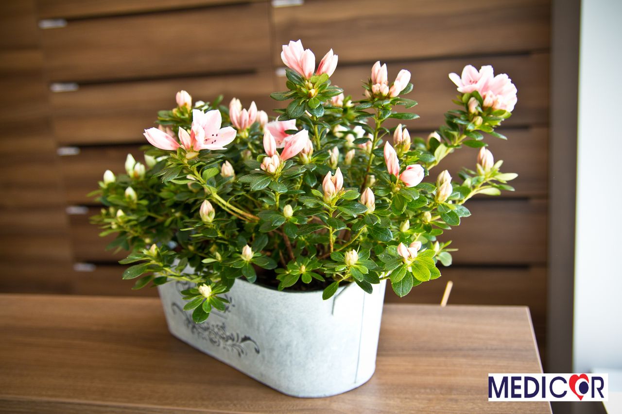 Magdalena Atarowska-4