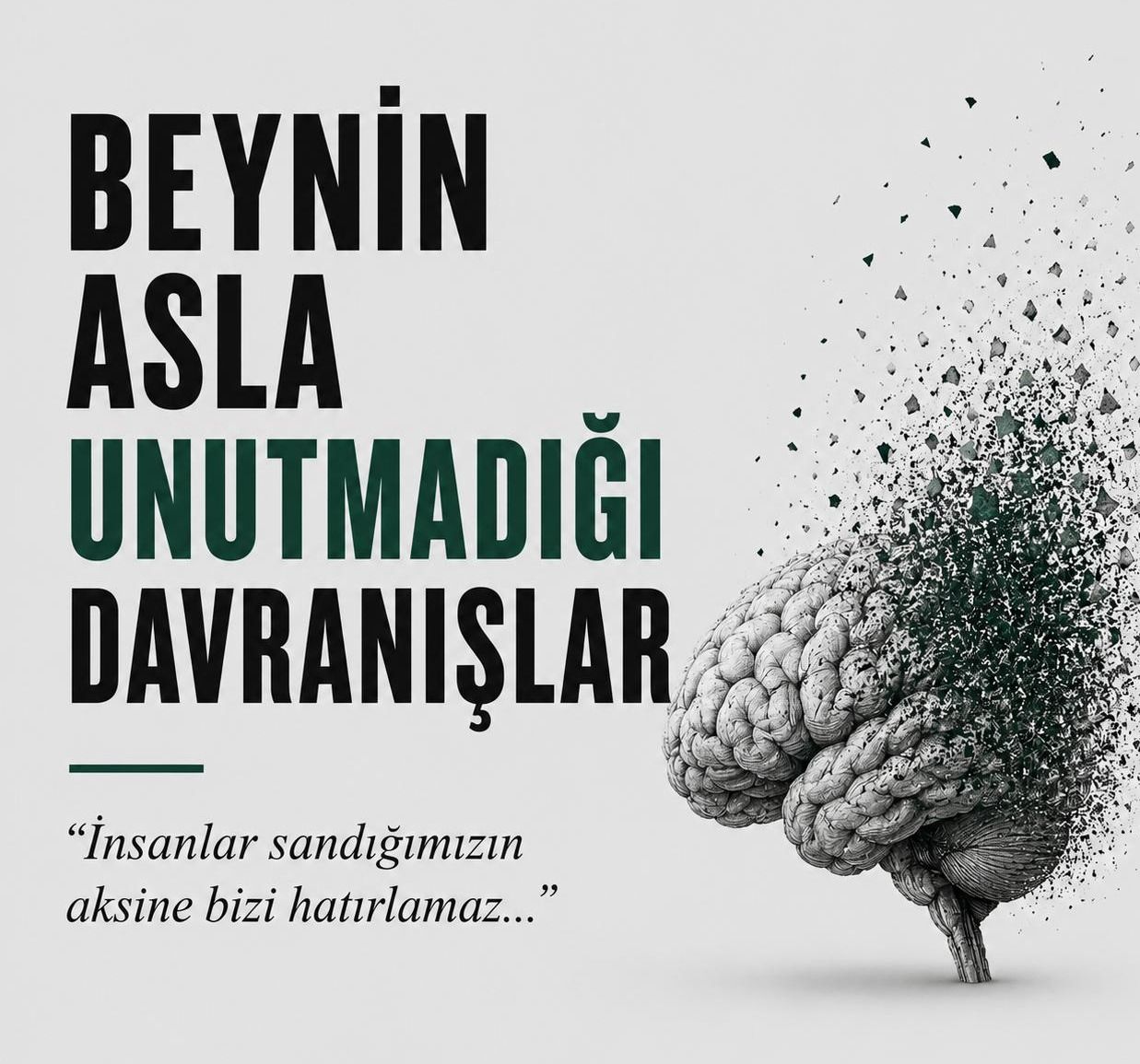 Derya Gülersoy-2