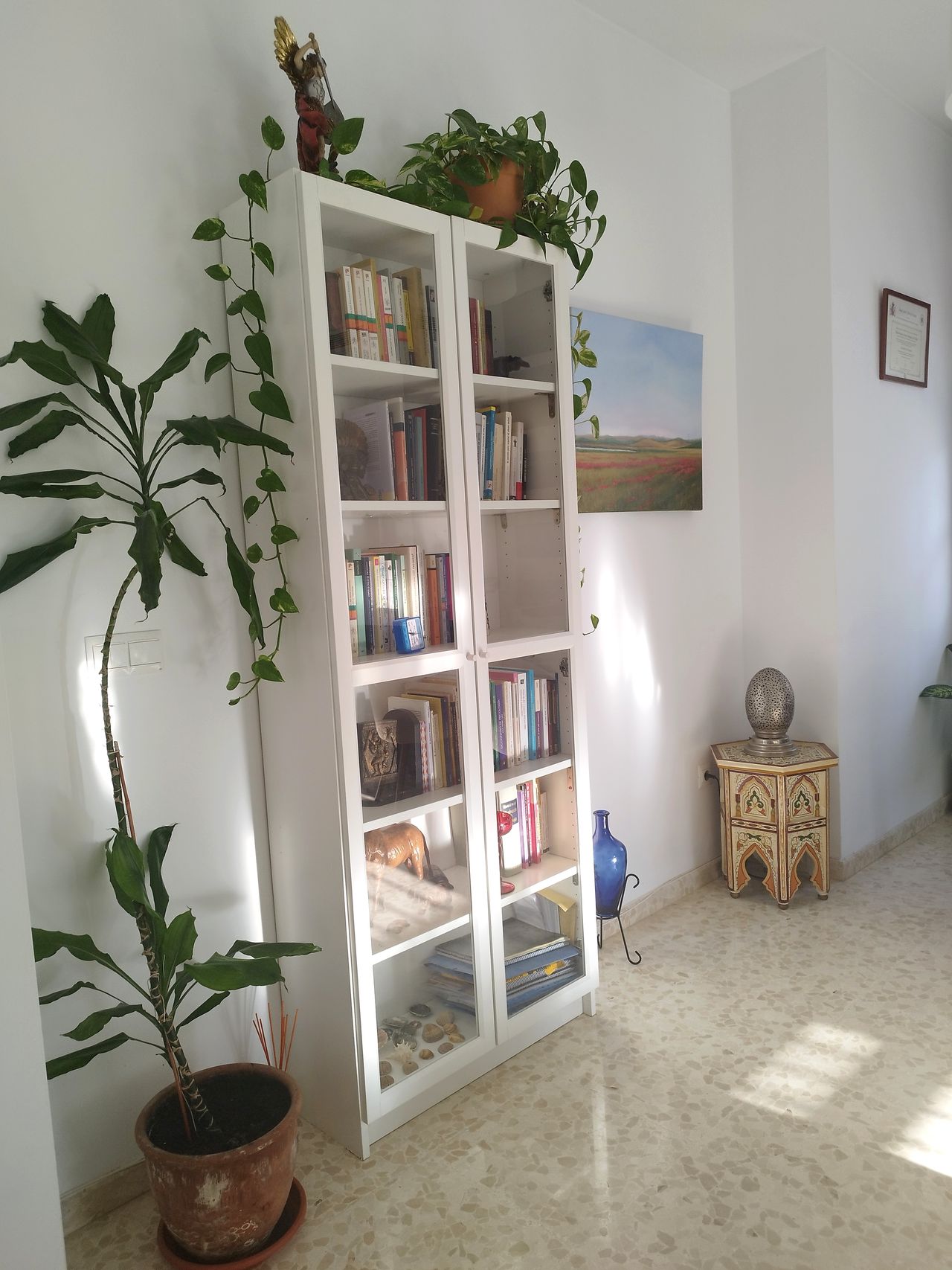 Fco. Javier Rodríguez Del Valle-16