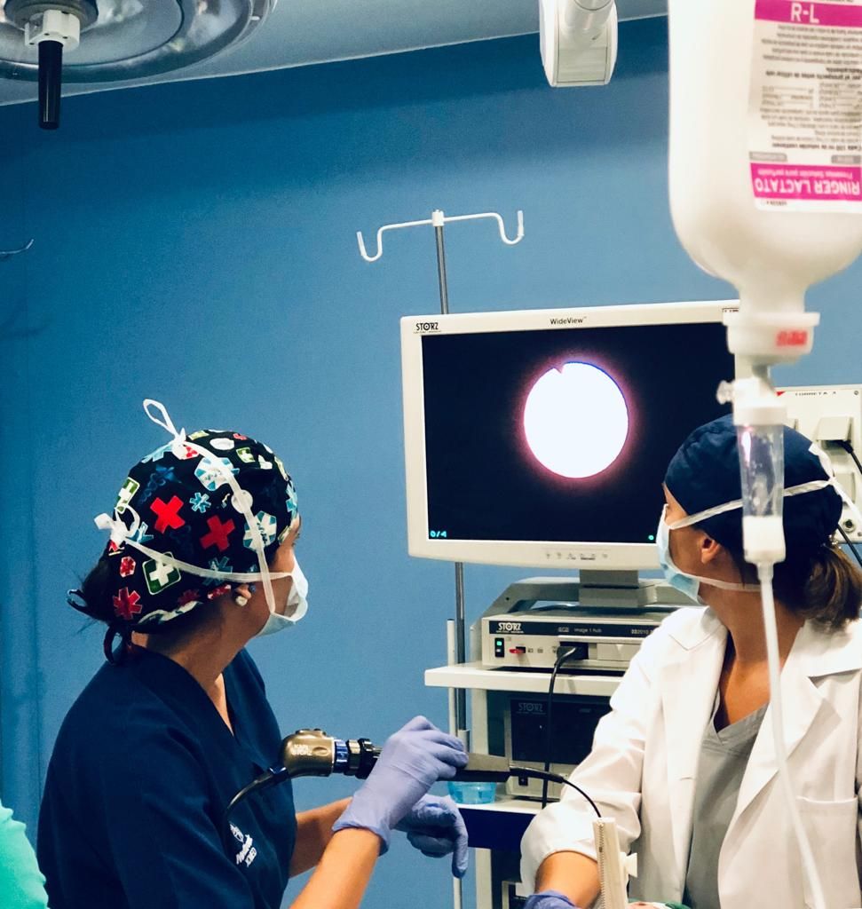 Adriana Pérez García-2