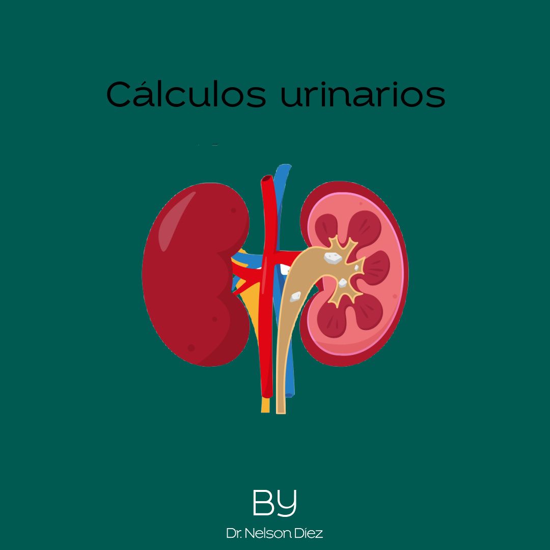 Nelson Diez Calzadilla-4