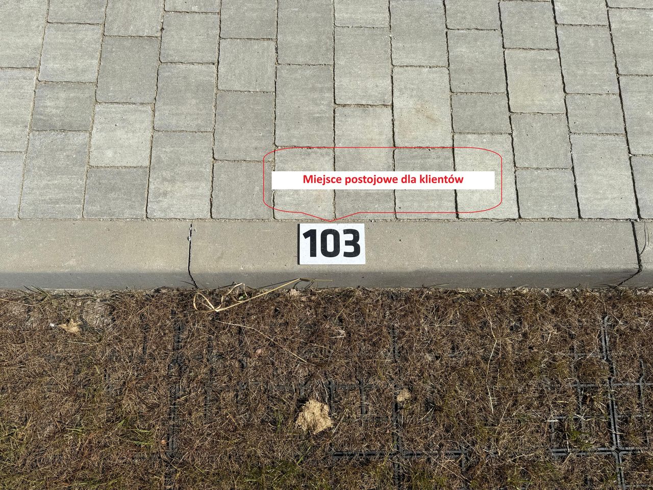 Justyna Urbanowicz-13