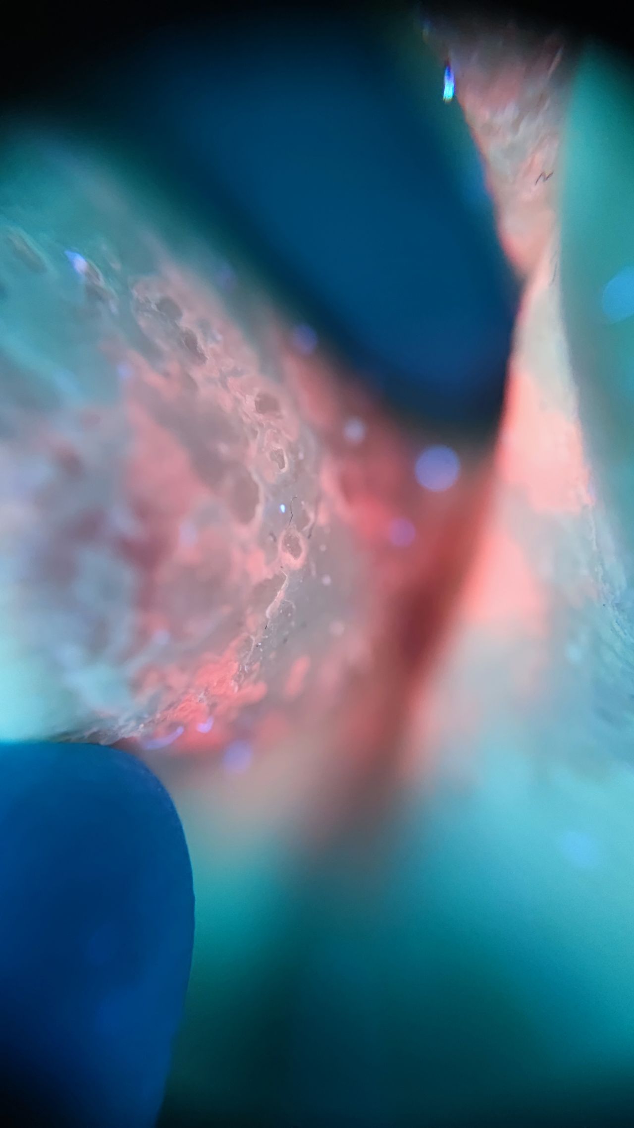 Paweł Pietkiewicz-8