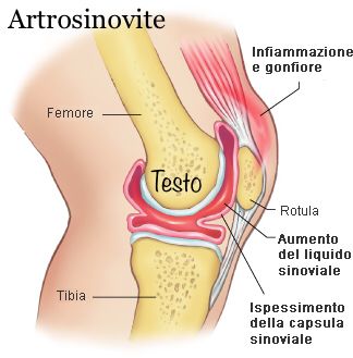 Carmine Del Gaìzo-15