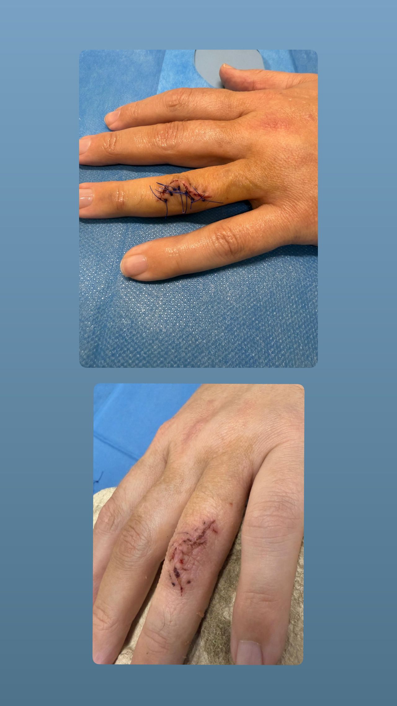 Weronika Joanna Kalamarska-0