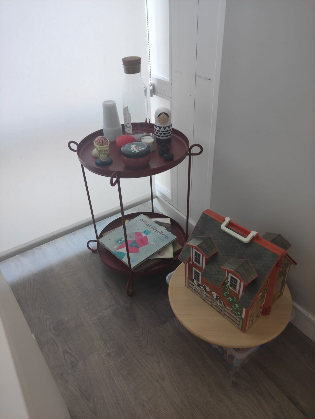 Mari Carmen Carrero Novillo-2