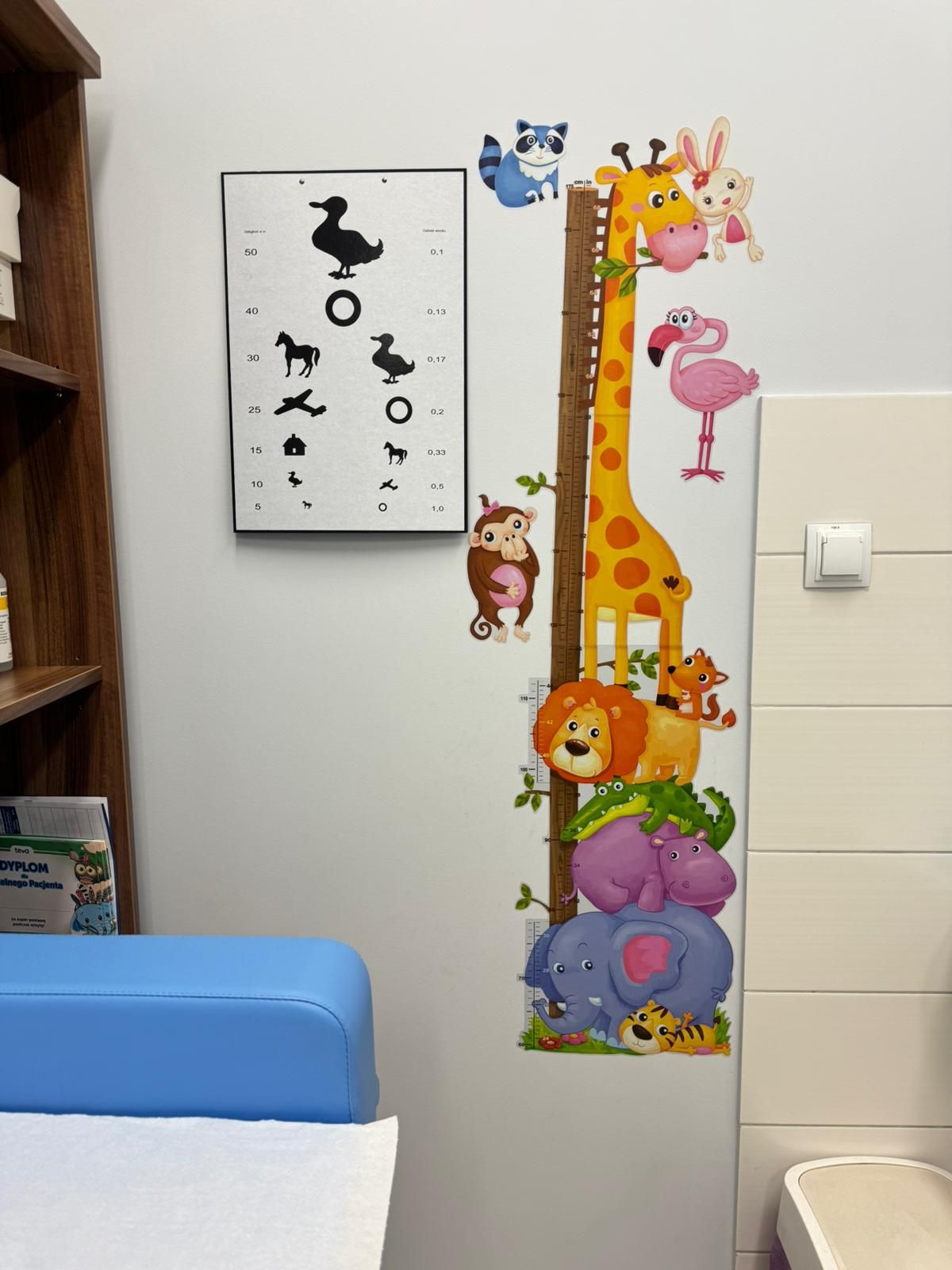 Agnieszka Kluska-Jóźwiak-1