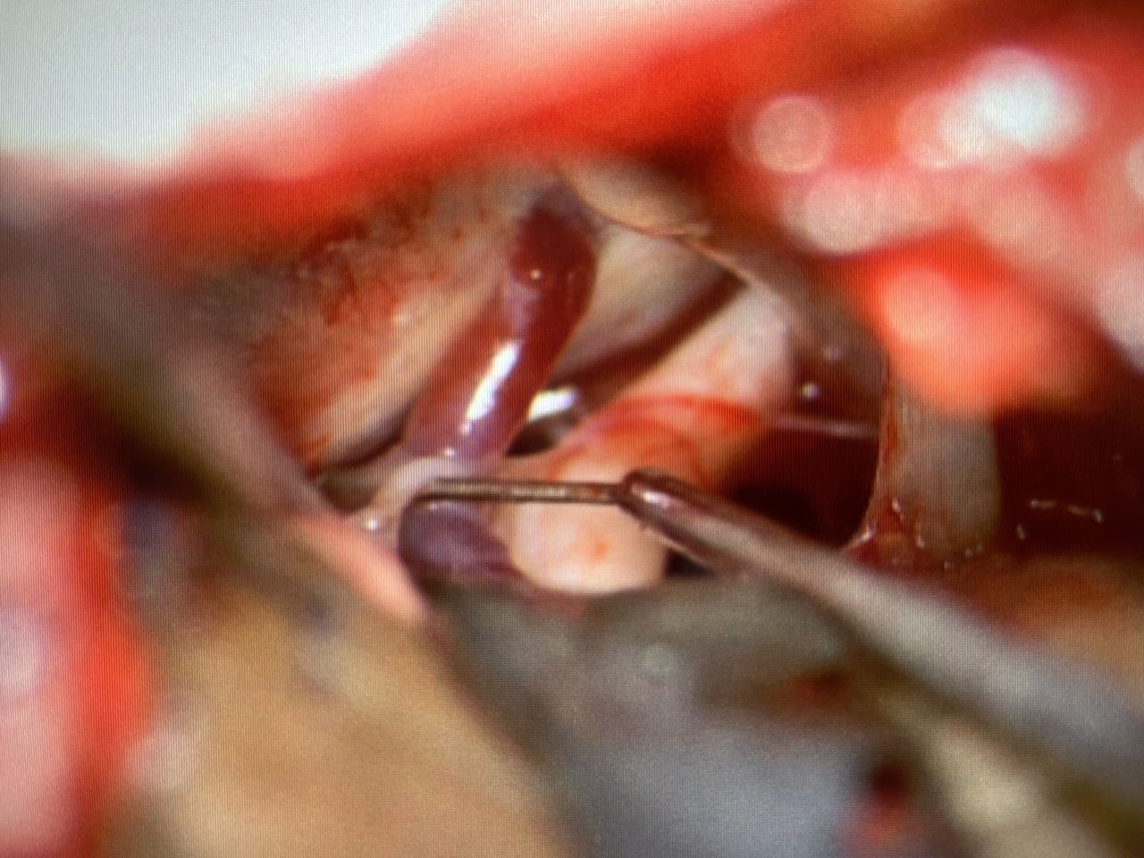 Jarosław Andrychowski-60