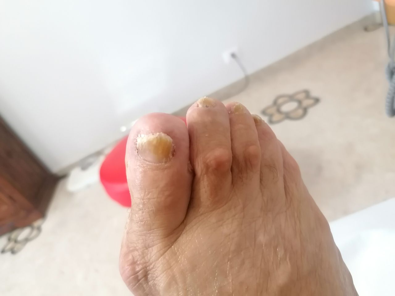 Kassandra Nicolosi-284