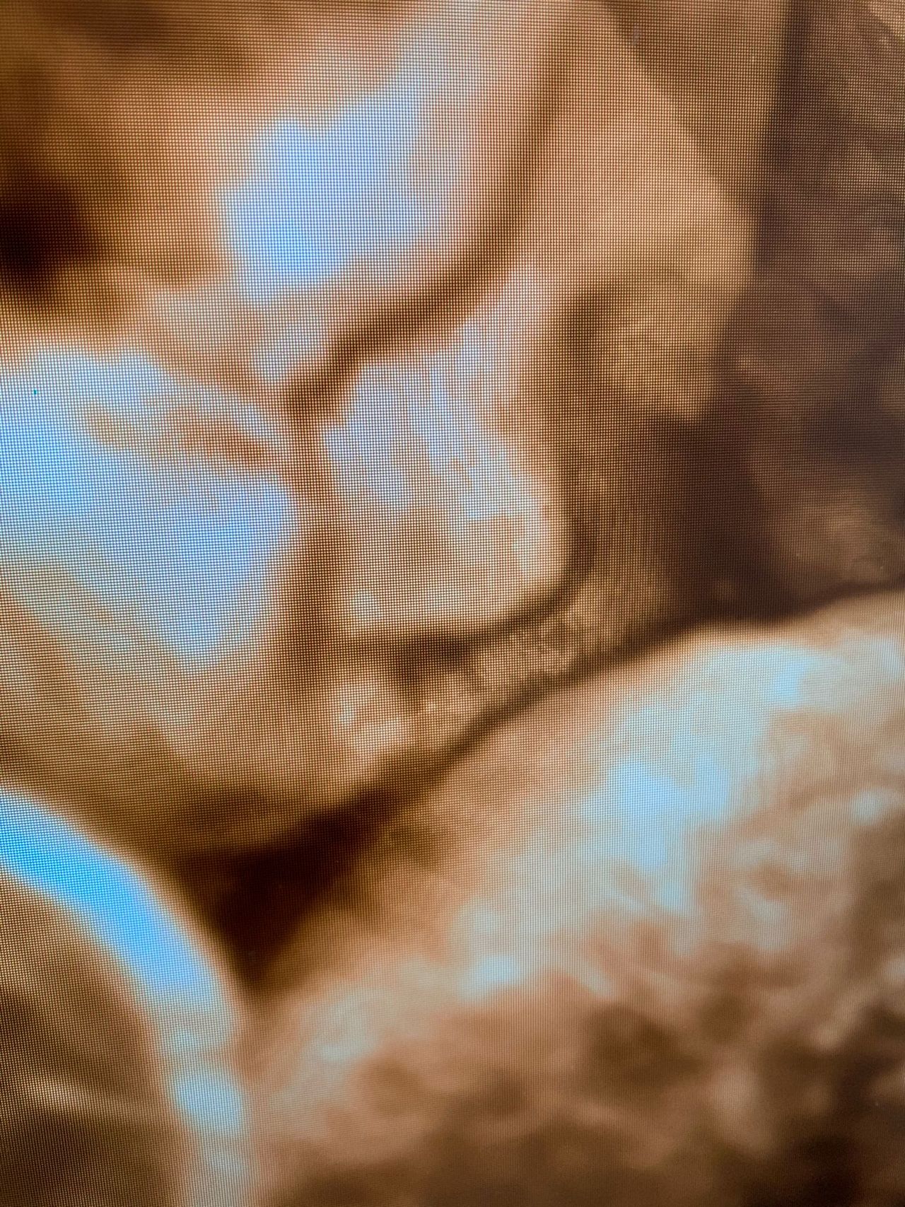 Fernando Linsalata-1