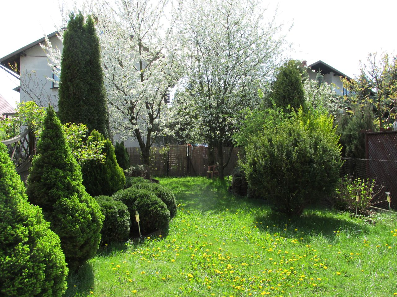 Radek Szafrański-36