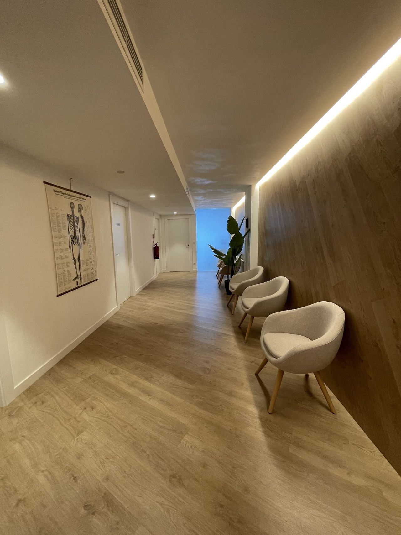 Inma Mariscal Lanaspa-7