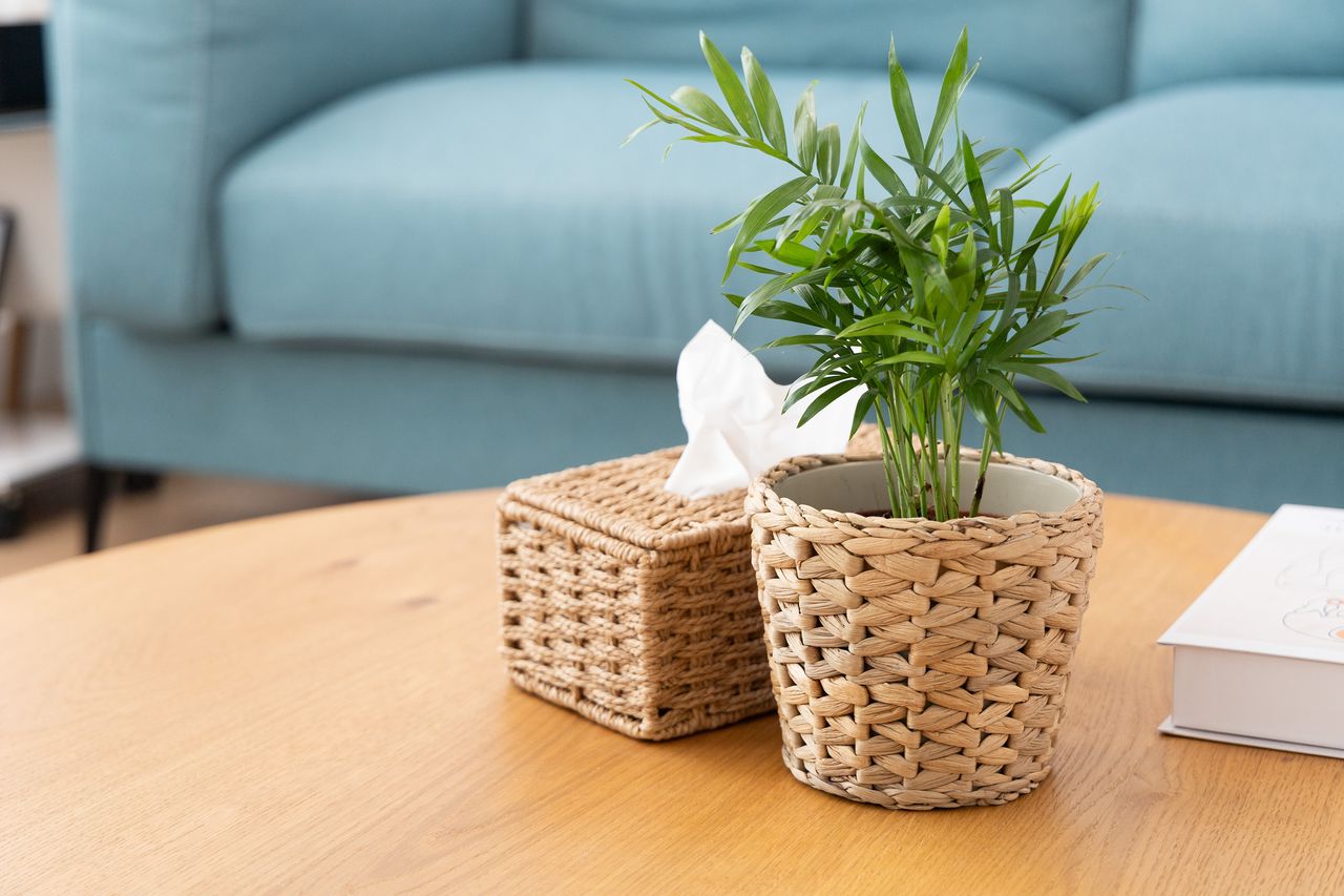 Miriam Rosado Muñoz-3