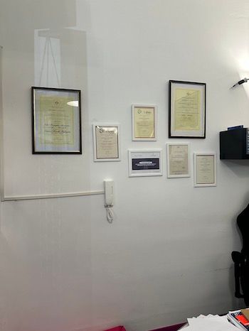 Alessandra Volpe Brinzaglia-14