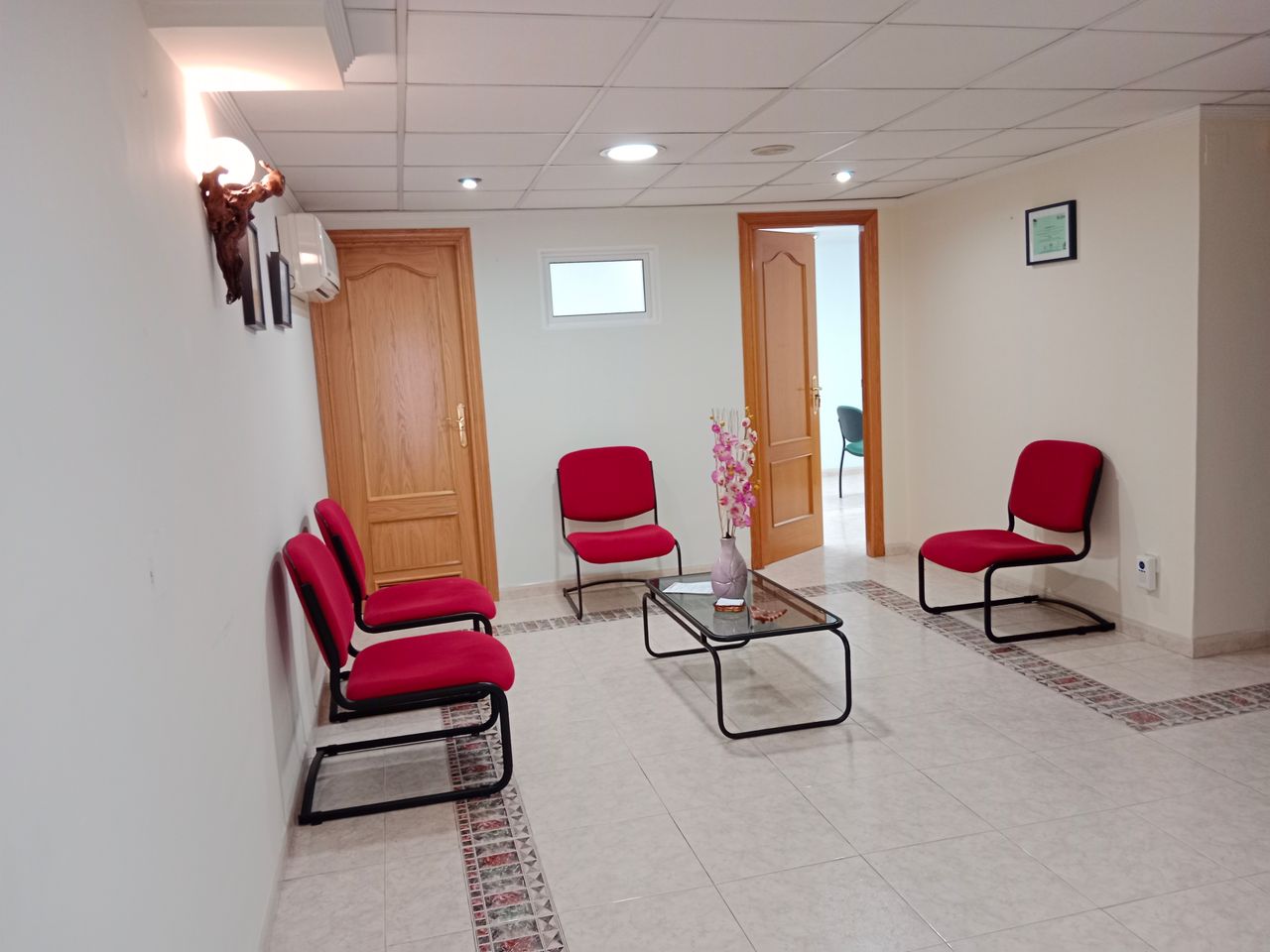 Damaris Fraga Garcia-0